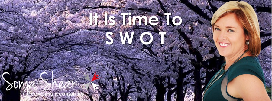 SWOT Jacaranda Trees Can Only Mean One Thing